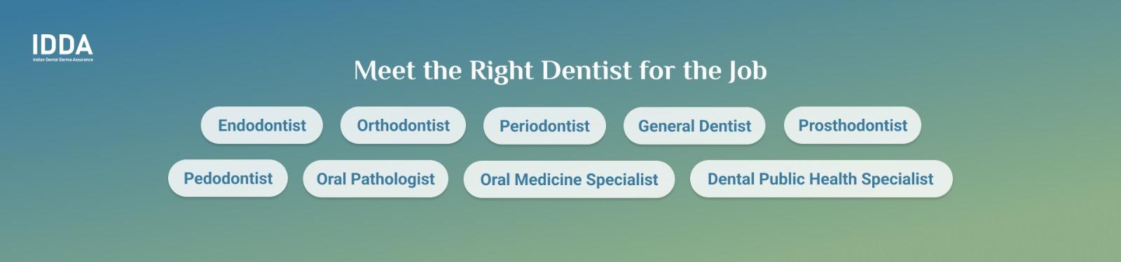 10 Dental Specialists You Need to Know Before You Book Your Next Appointment